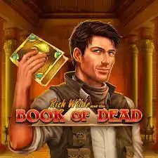 Book of Dead online slot from Play'n GO – play at spinko24-casino.net